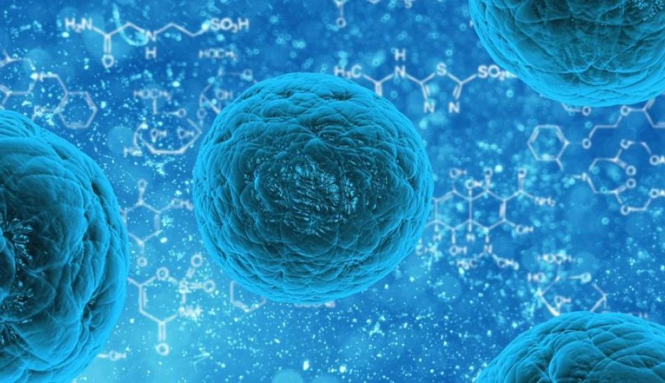 Las células madre tienen un mecanismo de defensa contra bacterias, revela estudio