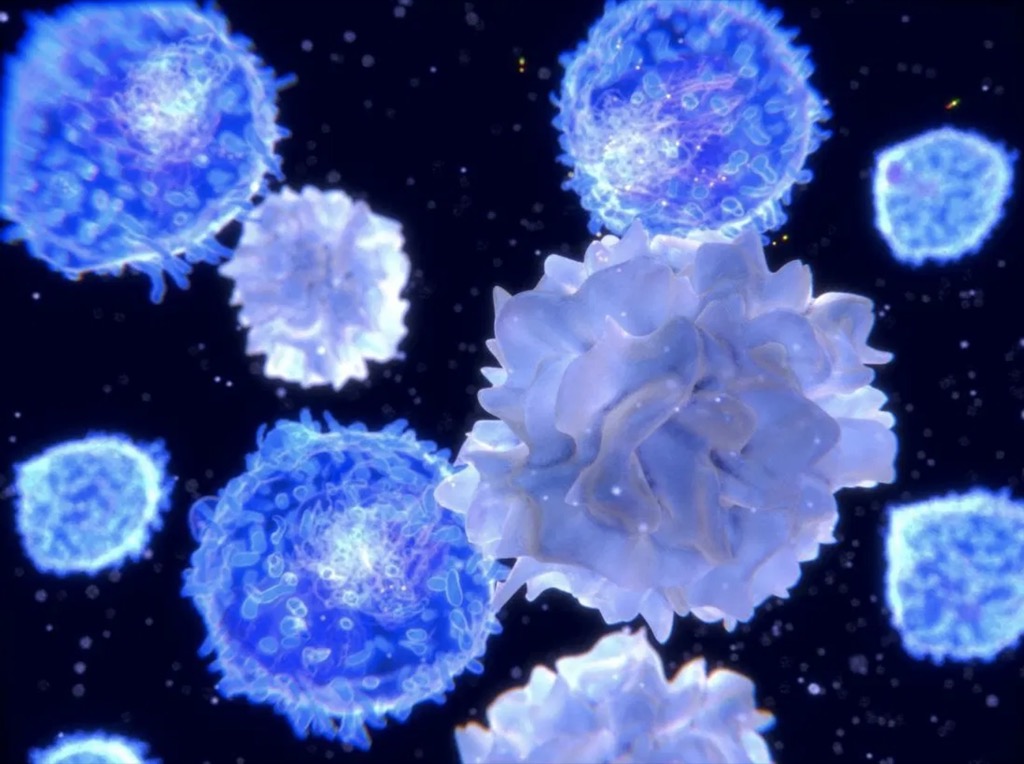 Cáncer: el tratamiento de células madre "listo para usar" entra en un ensayo clínico