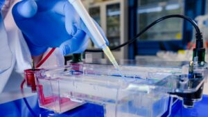Las células madre probadas como terapia potencial para el coronavirus en un ensayo en la escuela de medicina de la Universidad de Maryland